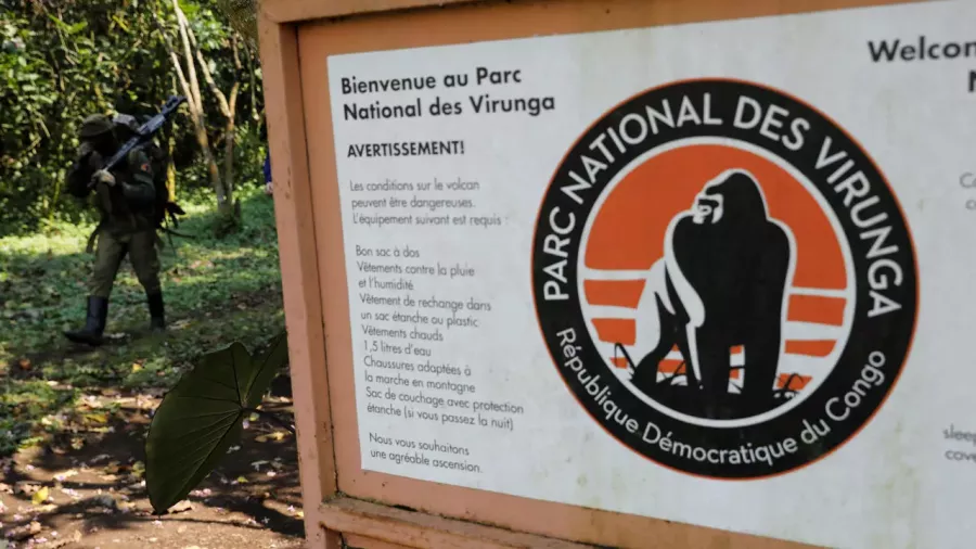 Parc de Virunga : 6 écogardes tués, la question de sécurité se pose