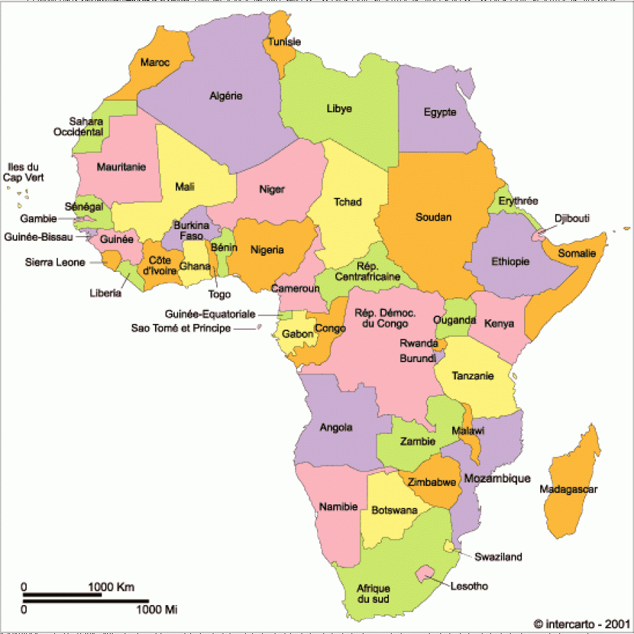 Relance post-covid en Afrique : Cinq piliers pour mobiliser les ressources financières 