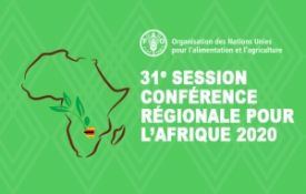 FAO- Regional Conference for Africa : Impacts of COVID-19 on food security and nutrition
