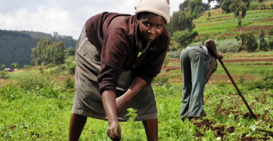 Journée internationale de la femme rurale : La FAO  favorise l'accès à l'épargne en RDC 